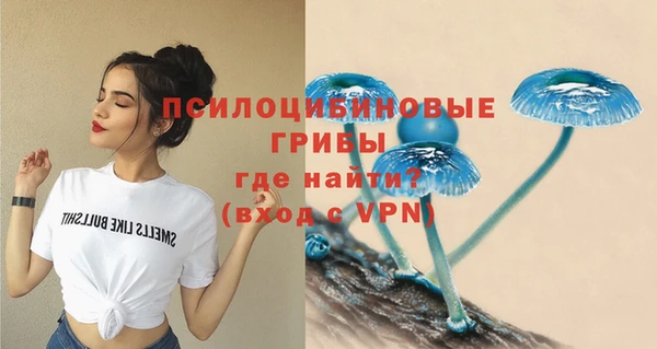 хмурый Алексеевка