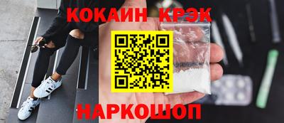 индика Кингисепп