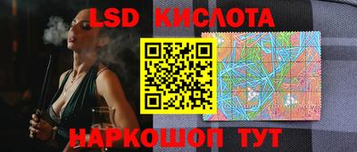 индика Кингисепп