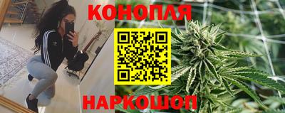сатива Конаково