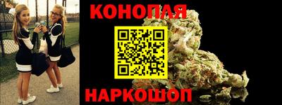 индика Кингисепп