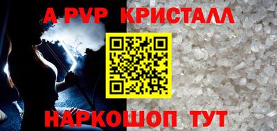 индика Кингисепп