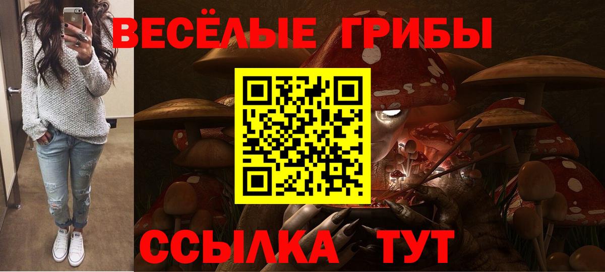 Псилоцибиновые грибы Psilocybine cubensis Кингисепп
